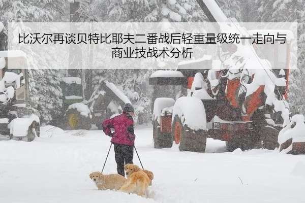 比沃尔再谈贝特比耶夫二番战后轻重量级统一走向与商业技战术分析