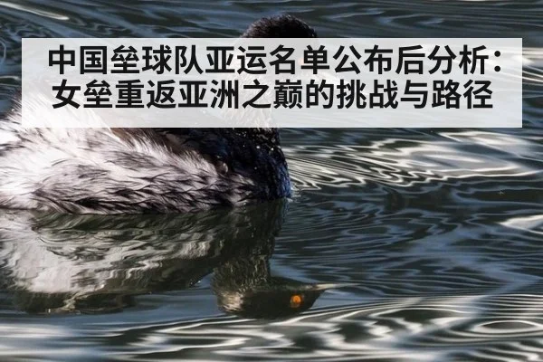中国垒球队亚运名单公布后分析：女垒重返亚洲之巅的挑战与路径